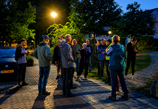 vleermuiswandeling