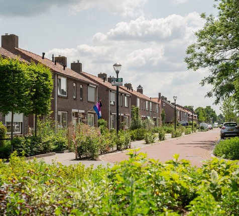 huizen met groen ervoor