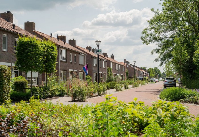 huizen met groen ervoor