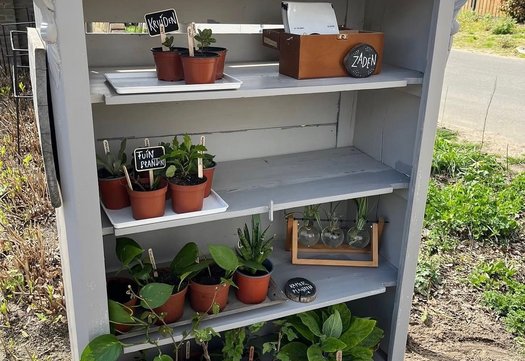 open kast met planten