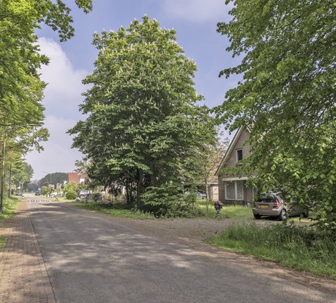 oude baan met huizen