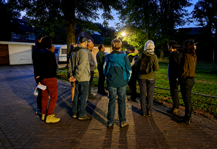 vleermuiswandeling