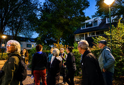 vleermuiswandeling