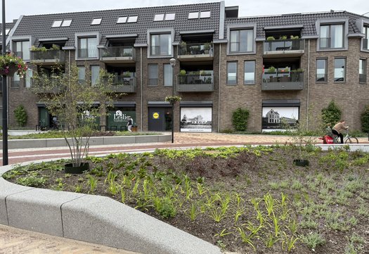 Wilhelminaplein met zicht op appartementen boven Lidl